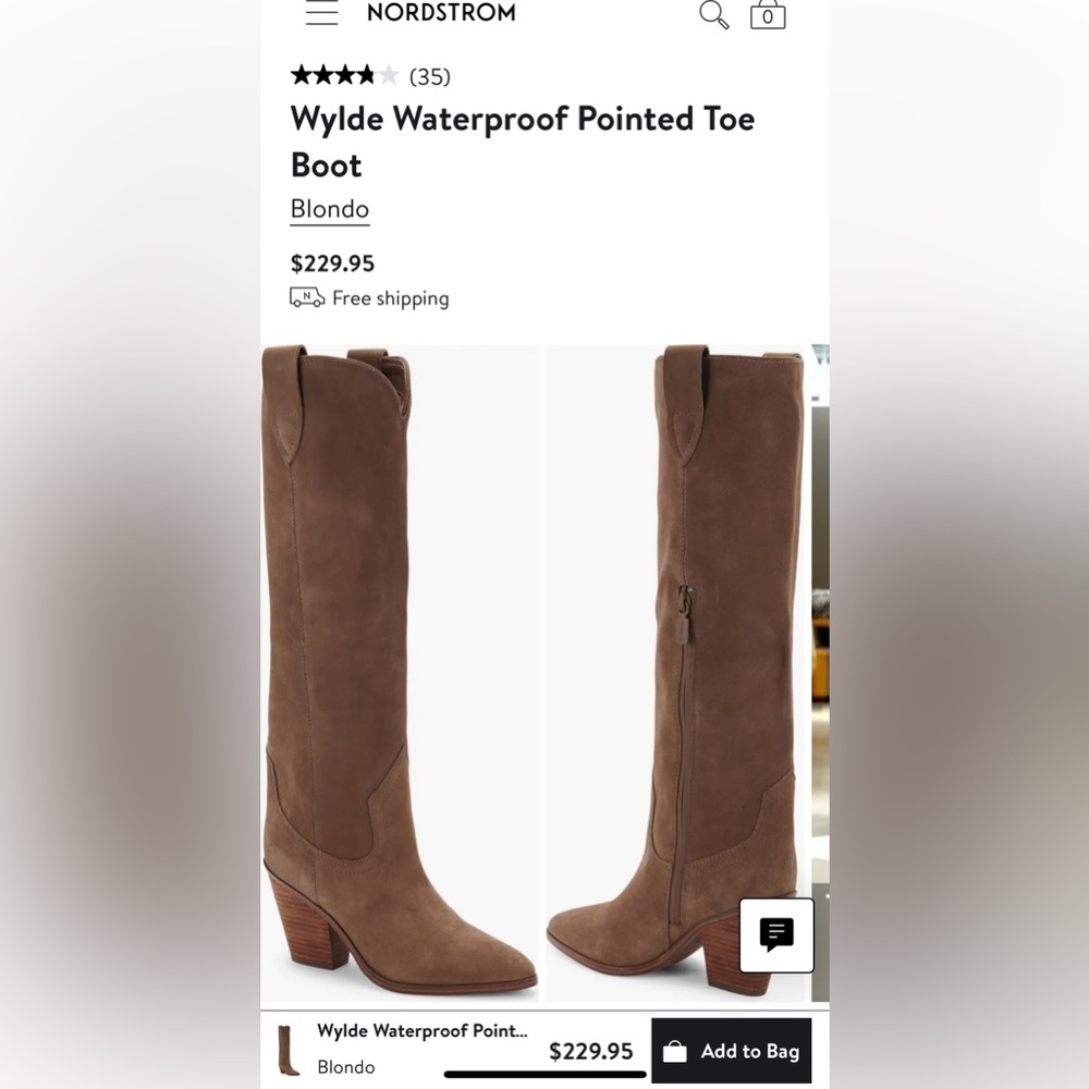 Blondo Wylde Waterproof Pointed Toe Knee-High Heeled Boots — Brown